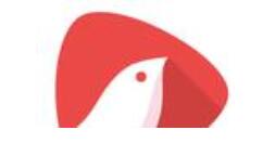 在头牌里订阅头牌的操作过程