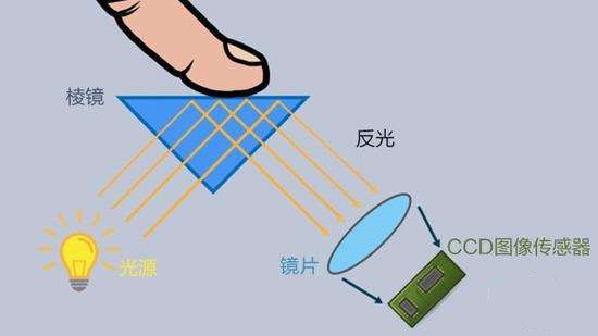 LCD屏下指纹识别技术成功！