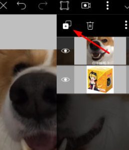美易相机编辑视频的操作步骤