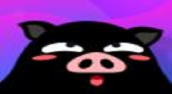 黑猪电竞下单的步骤讲解