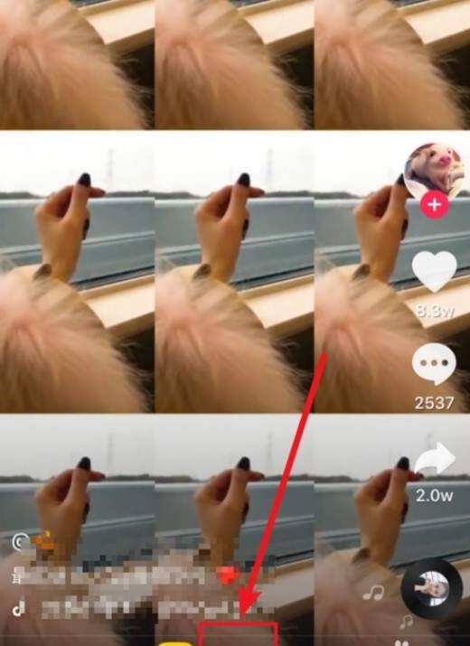 抖音拍出九宫格手势舞特效视频的图文操作