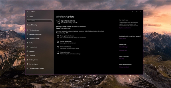 Windows 10 20H1预览版18875正式上线！