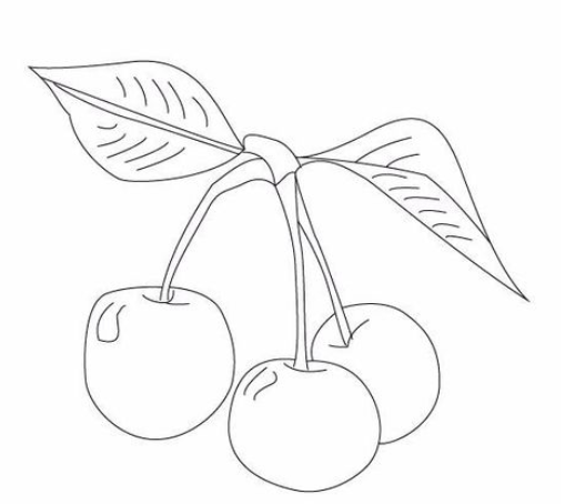 AI制作樱桃的图文操作过程