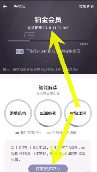 支付宝查看蚂蚁会员积分的简单操作