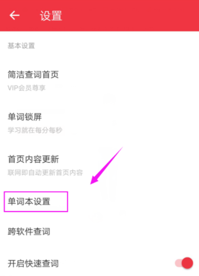 有道词典设置自动发音的详细操作