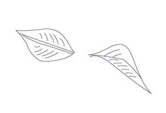AI制作樱桃的图文操作过程