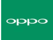 oppo A9总自动重启的处理操作