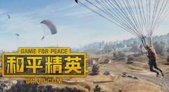 和平精英电脑版切换枪的相关操作介绍