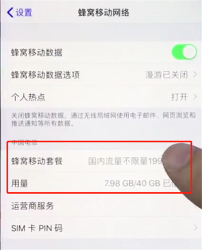 苹果手机查询移动流量的简单操作