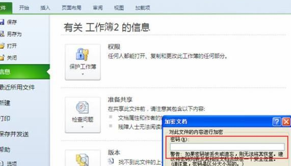excel2010中为文档加密的具体操作步骤