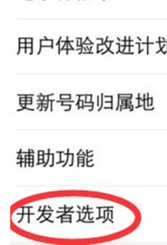 vivoS1pro中找到开发者选项位置的具体操作