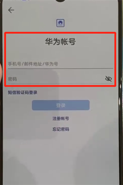 华为p30pro更换主题的具体操作方法