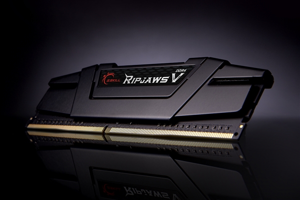 芝奇旗下384GB DDR4-4000内存现身