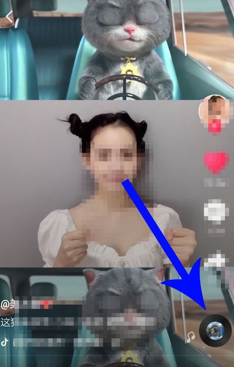 抖音中与斑布猫合拍的具体操作步骤