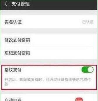 荣耀20pro设置微信指纹支付的操作步骤