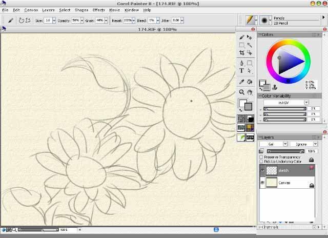 painter8绘画水彩效果向日葵的详细使用方法