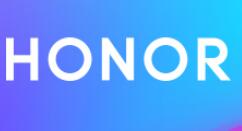 荣耀20喜提“国家宝藏之金翅鸟”礼盒版