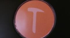 罗永浩最后的旗舰机狂降：“真香机”!