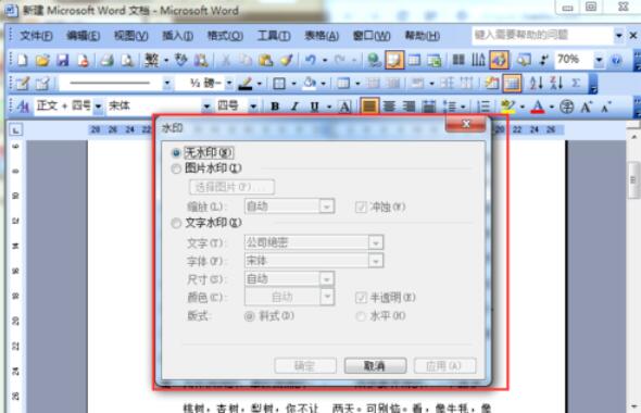 word2003文档添加水印的方法介绍