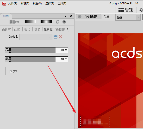 ACDSee在图片上加马赛克的具体使用教程
