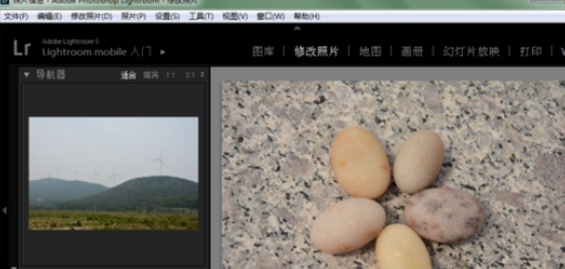 lightroom中将面板字体大小更改的操作教程