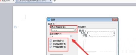 wps插入目录项的使用步骤