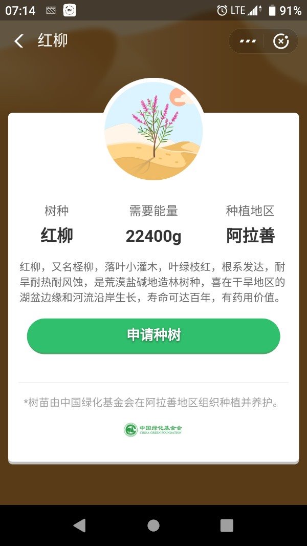 支付宝蚂蚁森林推一款新树种红柳