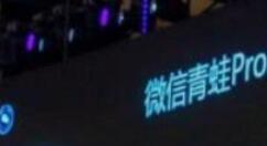 微信支付迎来“微信青蛙Pro”双面屏：都是10.1英寸+3D结构光摄像头