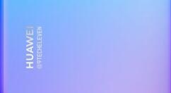 华为Mate 30 Pro正面确认：摄像头亮了