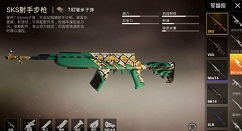 和平精英sks玉龙皮肤60点卷团购攻略