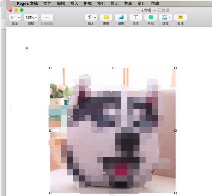 pages文章插入引文的具体操作步骤