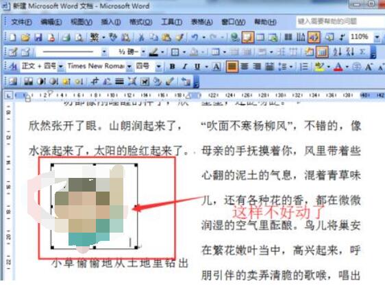 word2003中防止图片移动的设置方法