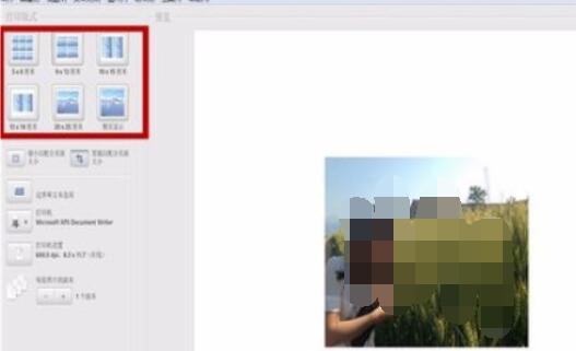 Google Picasa中打印图片的具体操作步骤
