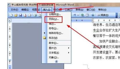 word2003中将第二页设置为第一页的操作步骤