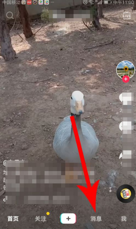 抖音建群的操作过程介绍