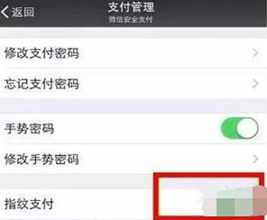 vivoz5开启微信指纹支付的图文步骤