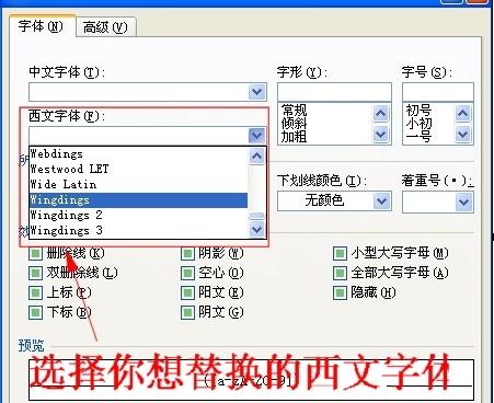 Word 2010更改所有字母和数字格式的操作教程