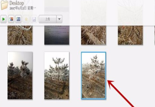 Google Picasa中使用重命名功能的操作教程