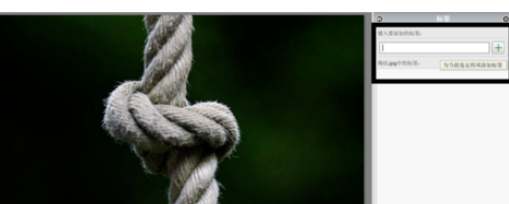 Google Picasa管理图片的方法步骤