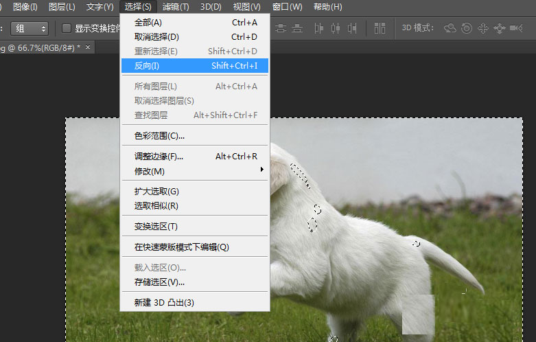photoshop cs6将草地上狗狗抠出的具体操作步骤