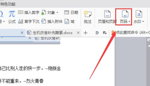 wps2007插入页码的详细操作教程