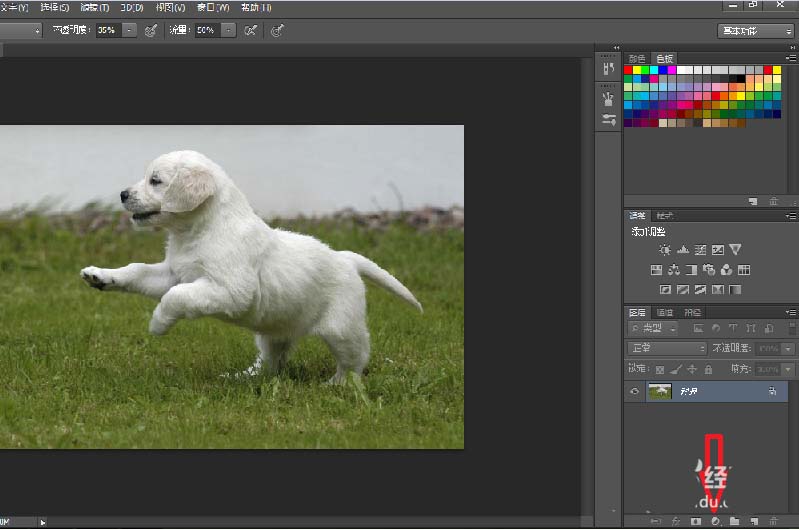 photoshop cs6给图片添加彩色渐变效果的操作方法