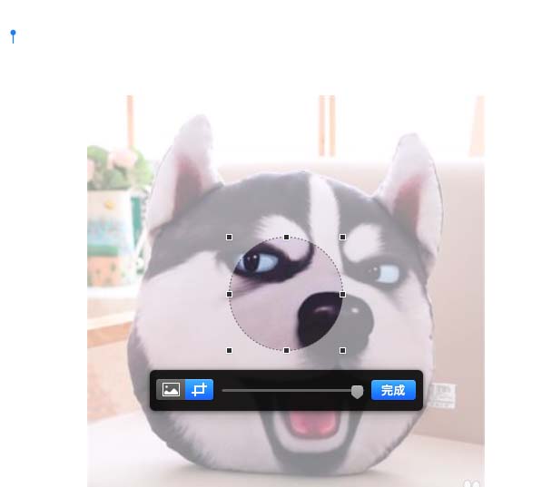 pages遮盖图片实现裁剪效果的操作步骤