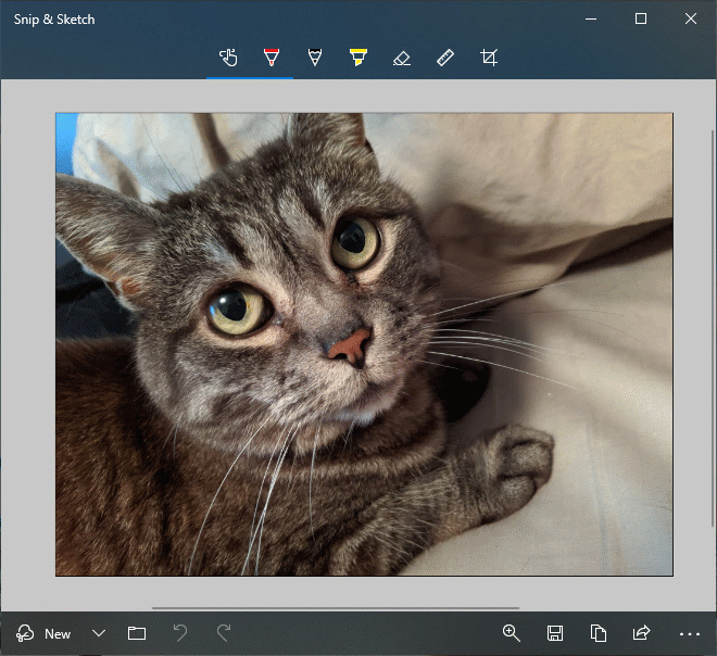 Win10新版18950上线：两点变化