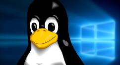 Linux开源系统手机Pinephone用上中国芯