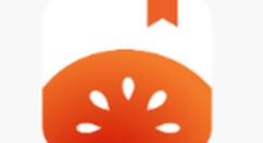 红果小说返回首页的操作步骤