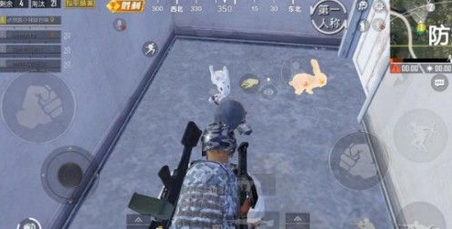 和平精英白色兔子与金色兔子区别详解