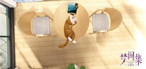 梦间集天鹅座收养猫咪与吸引名贵猫攻略