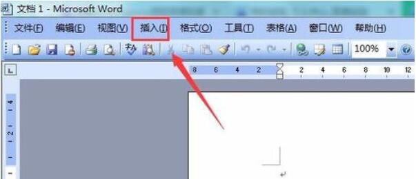 Microsoft Office 2003中插入页码的操作步骤