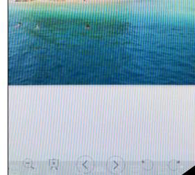 2345看图王为图片加上文字的操作教程